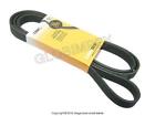 2215 002 993 54 96 Contitech Mercedes Single Belt Drive Oem Warranty 4010858484439