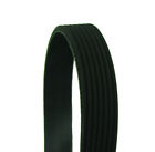 K071031 1030k7 Auto Extra Serpentine Belt Fits Dodge Ram Serp