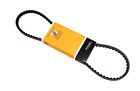 10x900 Crp Accessory Drive Belt