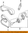 Z3-serpentine 11287636378 Bmw Oem Drive Fan Belt