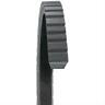 15535 Dayco Belt Top Cog Width Length Each 15535 Dayco Belt Top Cog Width Length Each
