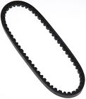 15560ap Roadmax Accessory Drive Belt
