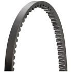 15600dr 15600 Autozone Serpentine Belt Duralast By Mk Dr