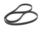 17111.51 Serpentine Belt Fits Wrangler Jk 804314244118