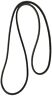17535 Continental Elite Accessory Drive Belt