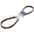 25d060956 Napa Serpentine Belt