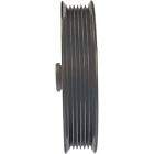 300-003 Dorman Power Steering Pump Pulley New Country Truck 019495031901