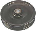 300-029 Dorman Power Steering Pump 019495237402