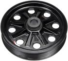 300-146 Dorman Power Steering Pump