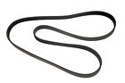 301-0660 Serpentine Belt 847541076022