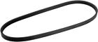 301-0685 Auto 7 New Serpentine 847541010569