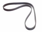 3865157 Dodge Commins Serpentine Belt