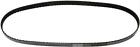 4060801 4060798 Continental Elite Belt