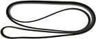 4070670 Continental Elite Serpentine Belt