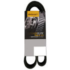 4070795 Continental Elite Oe Technology Serpentine Belt