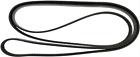 5070885 4070884 Continental Elite Belt