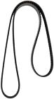 4080575 Continental Elite Serpentine Belt