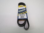 4080872 Continental Elite Serpentine Belt 037256385278