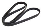 4854033 Crown Automotive Jeep Replacement Serpentine Belt Fits Grand 848399009163