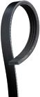 K040355sf 4k355sf Acdelco Professional Serpentine Belt-stretch