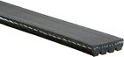 Ssa921f009ag 4k365 Acdelco Professional Standard Serpentine