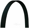 4pvk1300 Dayco Serpentine Belt