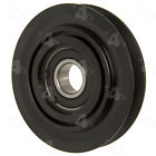 800142 5007 Hayden Drive Belt Idler