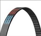 00038244123056 5060380 Dayco Serpentine Belt
