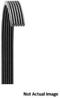 00036687663917 5060393 Dayco Serpentine Belt