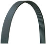 5060440dr Dayco Serpentine Belt Fits Volkswagen Beetle Golf Jetta Driverite