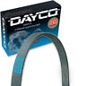 5060525dr Dayco Serpentine Belt Ribbed Accessory Drive Nm