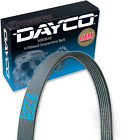 5060643dr Dayco Serpentine Belt Ribbed Accessory Drive Cm