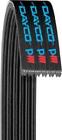 5060765 Dayco New Serpentine Belt 036687468062