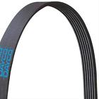 5061150 Dayco Belt Poly Rib Serpentine Length Each