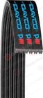 5070610 Dayco New Serpentine Belt 036687646392