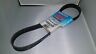 5080385 Dayco New Poly Rib Gold Label Belt