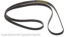 5081020 Dayco Serpentine Belt