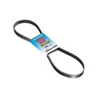 5081145 Dayco Poly Rib Gold 036687747129