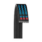 5081195 Dayco Poly Rib Gold Label Serpentine Belt 036687226648
