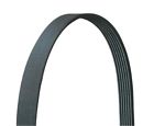 5081223 Dayco 8pk3105 International Ford 036687127433