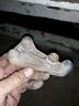 53007605 Jeep Wrangler Xj Yj Tj Lower Alternator Bracket Free Ship