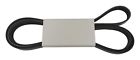 53034095aa Crown Automotive Jeep Replacement Accessory Drive Belt 849603005612