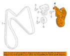 55592542 Gm Oem Belt Or