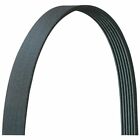 580k8 Autozone Serpentine Belt Duralast By Fits Bmw