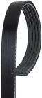 5k778 Acdelco Professional New Serpentine Belt