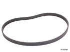 K060408 676 24002 241 Wd Express Serpentine 884109393665
