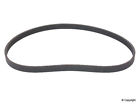 51036 676 241 Wd Express Serpentine 884109396857