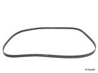 54024 676 259 Wd Express Serpentine Belt