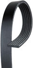 97300657 6k1369 Acdelco Professional Standard Serpentine