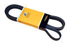 6k2120 Crp Reman Serpentine Belt